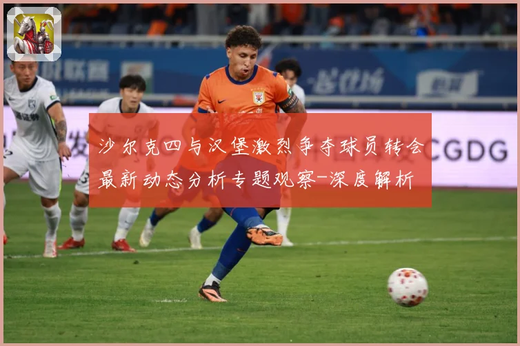 沙尔克四与汉堡激烈争夺球员转会最新动态分析专题观察-深度解析