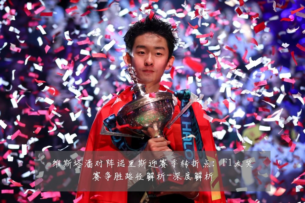 维斯塔潘对阵诺里斯迎赛季转折点：F1大奖赛争胜路径解析-深度解析